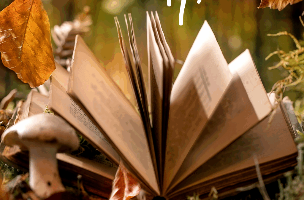 Lectures de Contes et d’Histoires