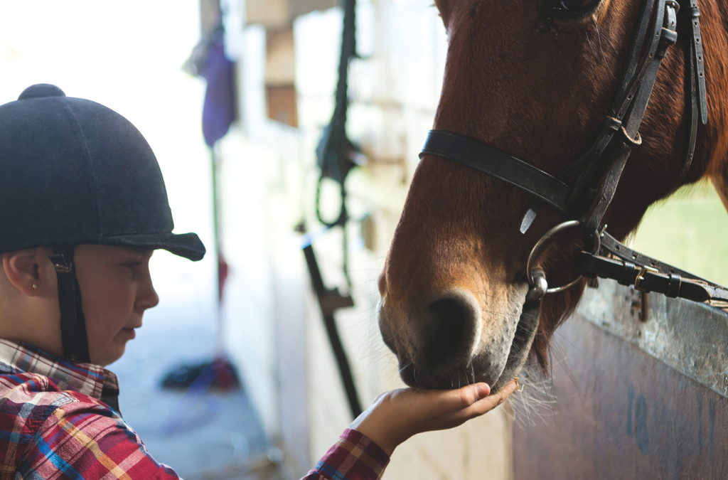 Tous en Selle ! à Tréglonou